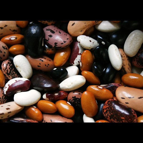 Beans