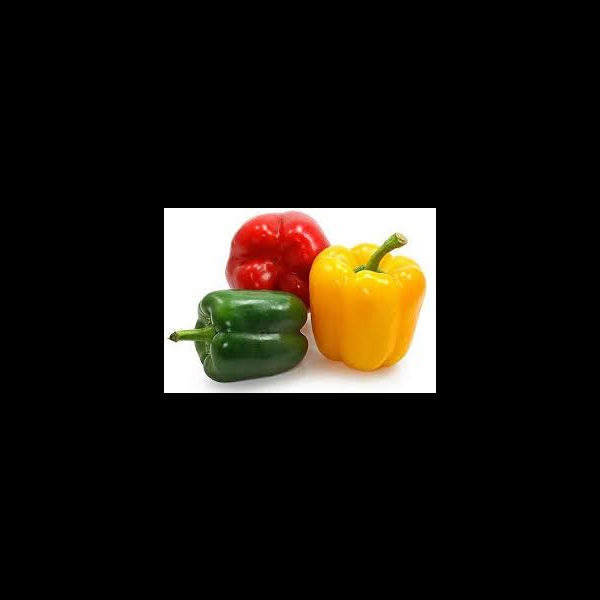Capsicum