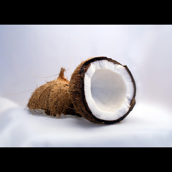 Coconut & their By products