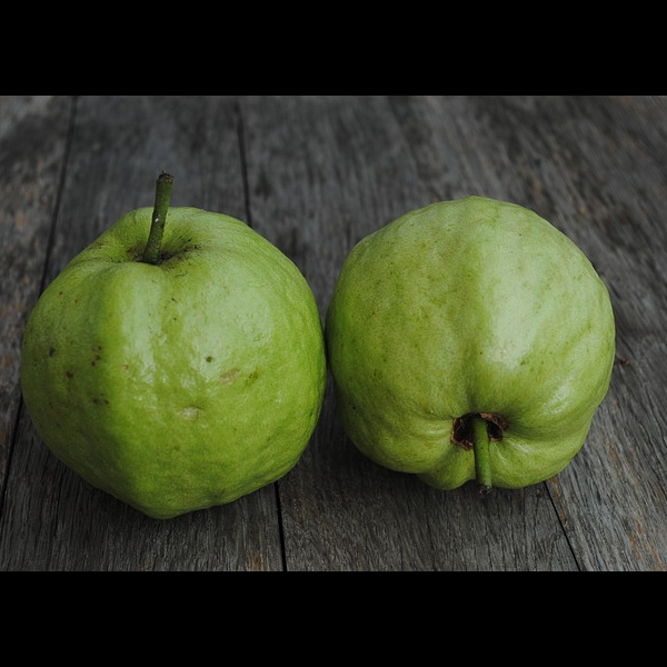 White Guava Concentrate